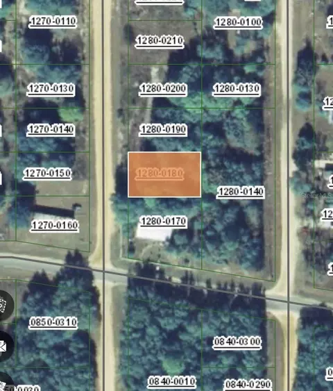 Neisman, Interlachen, FL 32148 photo 4