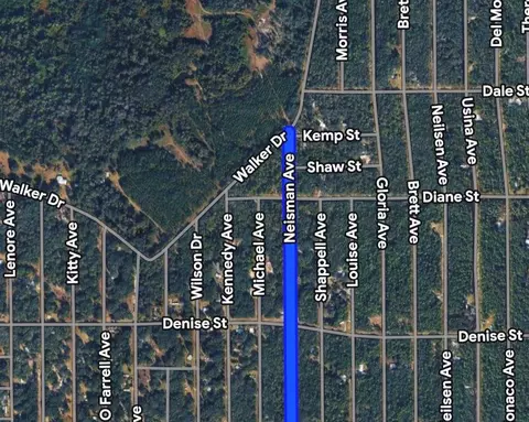 Neisman, Interlachen, FL 32148 photo 6
