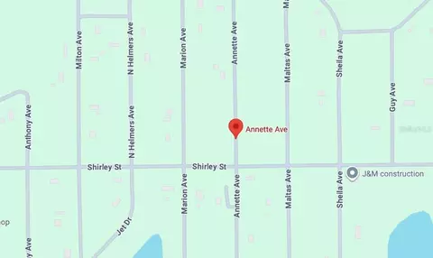 Annette Ave, Interlachen, FL 32148 photo 4