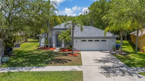 368 Tavernier Cir, Oldsmar, FL 34677