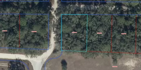 NE 50th Place, Williston, FL 32696