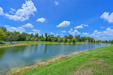 View/Area - 2635 Greenleaf Ter, Parrish, FL 34219 photo 2 of 4