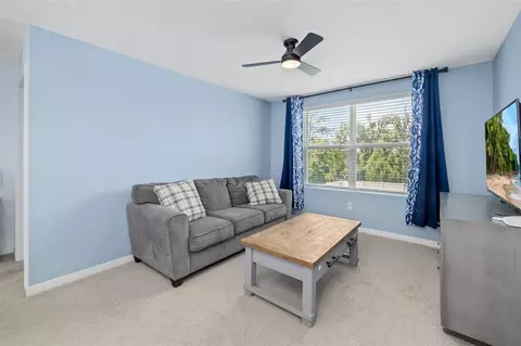 Other - 17315 Wheatberry Blvd, Parrish, FL 34219 photo 4 of 15
