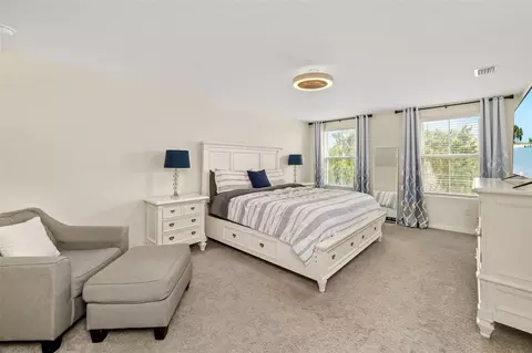 Bedroom - 17315 Wheatberry Blvd, Parrish, FL 34219 photo 7 of 7