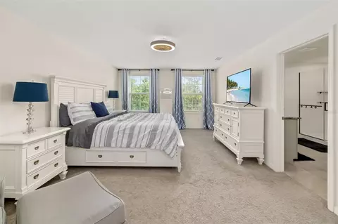 Bedroom - 17315 Wheatberry Blvd, Parrish, FL 34219 photo 5 of 7