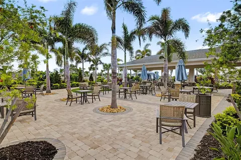 View/Area - 17315 Wheatberry Blvd, Parrish, FL 34219 photo 18 of 20