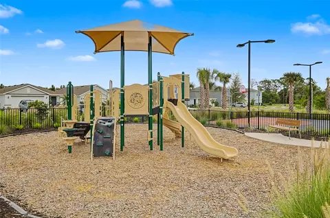 View/Area - 17315 Wheatberry Blvd, Parrish, FL 34219 photo 19 of 20