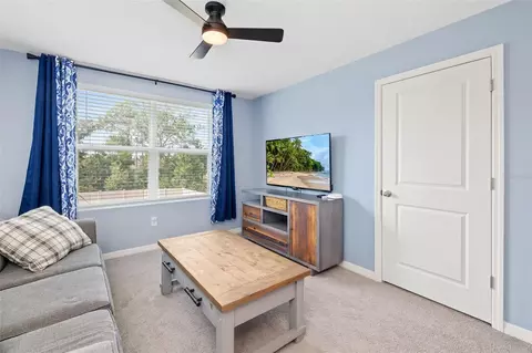 Other - 17315 Wheatberry Blvd, Parrish, FL 34219 photo 5 of 15