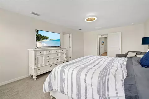 Bedroom - 17315 Wheatberry Blvd, Parrish, FL 34219 photo 6 of 7
