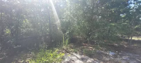 Union Way, Lee, FL 32059 photo 9