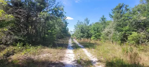 Union Way, Lee, FL 32059 photo 4