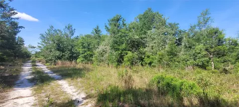 Union Way, Lee, FL 32059 photo 5