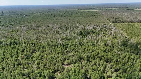 Union Way, Lee, FL 32059 photo 13