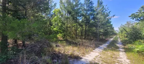 Union Way, Lee, FL 32059 photo 7