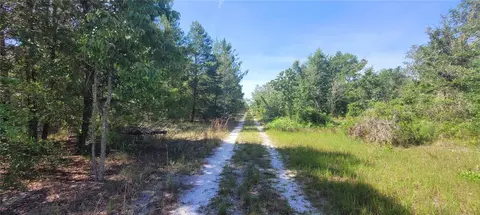 Union Way, Lee, FL 32059 photo 10