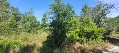 Union Way, Lee, FL 32059 photo 6