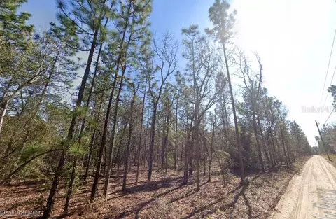 Hills Road, Melrose, FL 32666