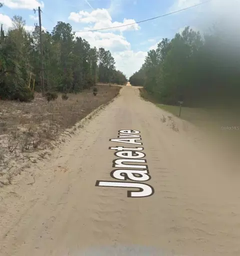 Janet Ave, Interlachen, FL 32148 photo 4