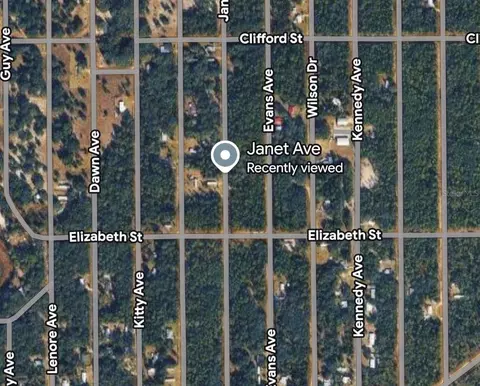 Janet Ave, Interlachen, FL 32148