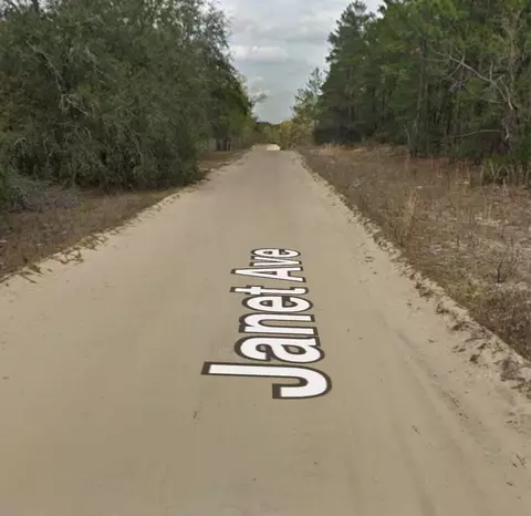 Janet Ave, Interlachen, FL 32148 photo 2