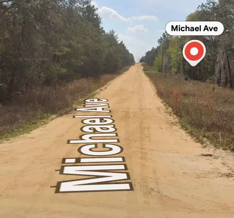 Michael Ave, Interlachen, FL 32148 photo 2