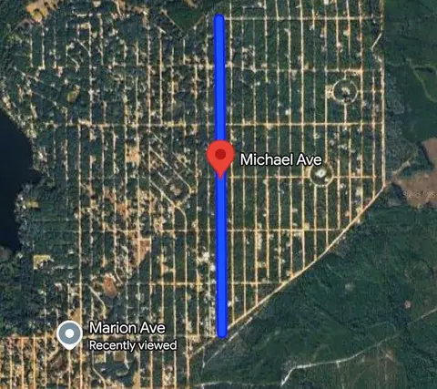 Michael Ave, Interlachen, FL 32148