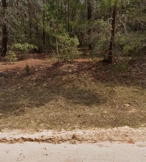Michael Ave, Interlachen, FL 32148 photo 3