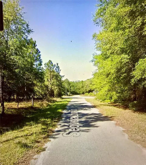 lot39 SE Sequoia Loop Dr, Ocklawaha, FL 32179
