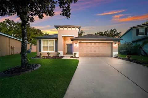 17463 New Cross Cir, Lithia, FL 33547