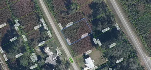 1025 Oriole St, Lake Placid, FL 33852