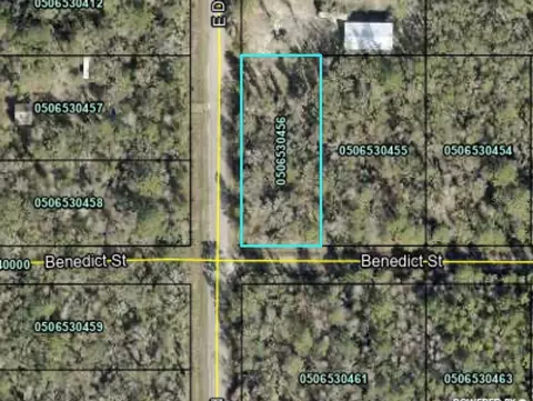4790 Benedict St, Hastings, FL 32145