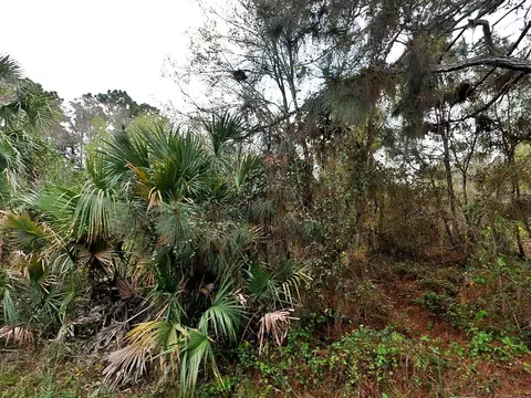 Henning Street, North Port, FL 34288