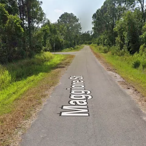7930 Maggiore St, Sebring, FL 33872 photo 5