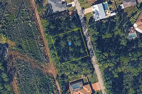 32 Serbian Bellflower Trl, Palm Coast, FL 32164
