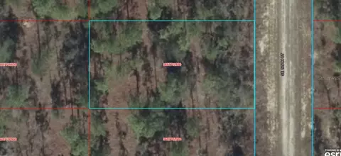 06877-028 SE 00 Se 135th Ct, Williston, FL 32696