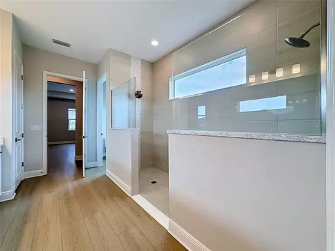 Bath - 12422 Stonegate Trl, Parrish, FL 34219 photo 6 of 8