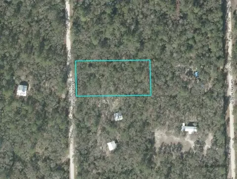 Se Wild Turkey Road, Branford, FL 32008