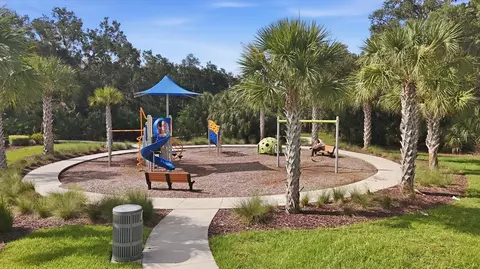 View/Area - 8583 Starlight Loop, Parrish, FL 34219 photo 7 of 8