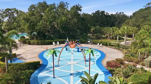 View/Area - 8583 Starlight Loop, Parrish, FL 34219 photo 8 of 8