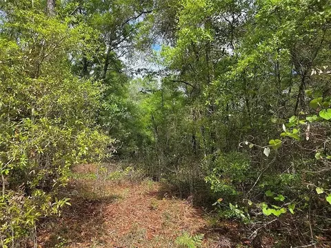 lot S 4 5 Nw 56th St, Chiefland, FL 32626