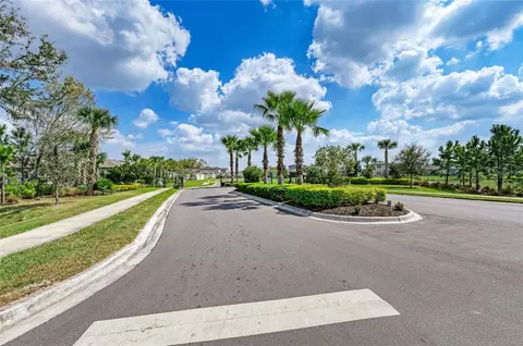 View/Area - 10855 Daybreak Gln, Parrish, FL 34219 photo 4 of 9
