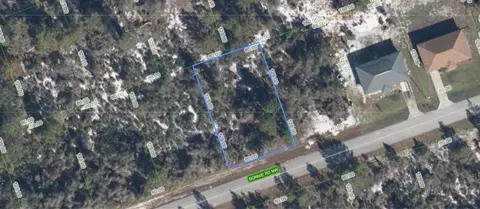 117 Bonnie Rd NW, Lake Placid, FL 33852