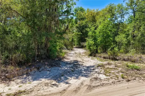 2 NE 125th St, Bronson, FL 32621 photo 10