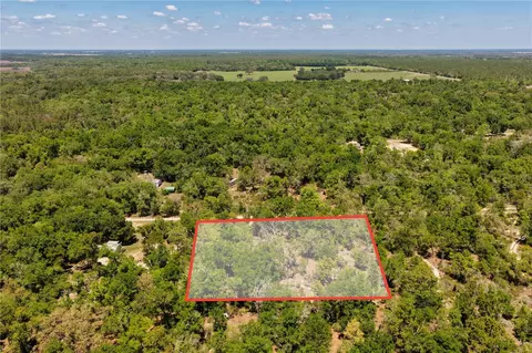 2 NE 125th St, Bronson, FL 32621 photo 3