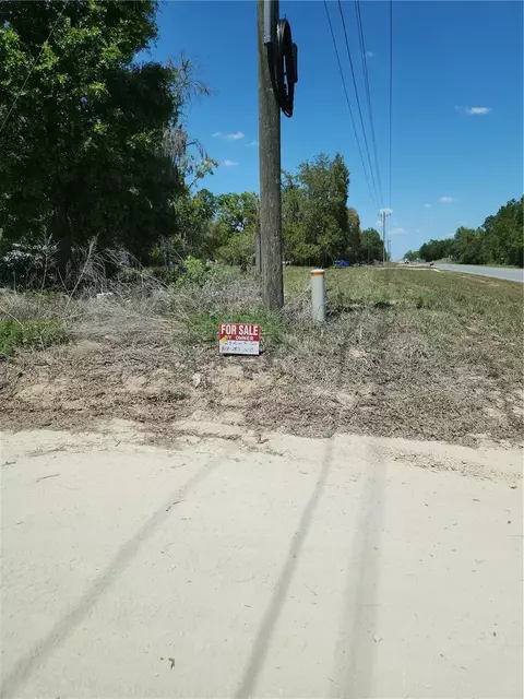2 NE 125th St, Bronson, FL 32621 photo 19