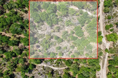 2 NE 125th St, Bronson, FL 32621 photo 4