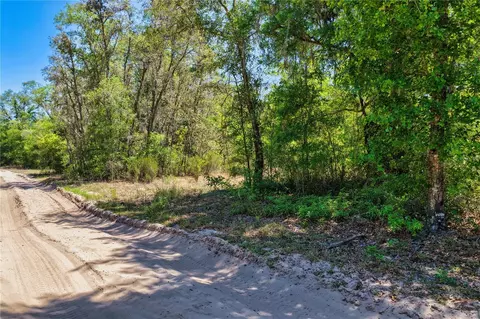 2 NE 125th St, Bronson, FL 32621 photo 9