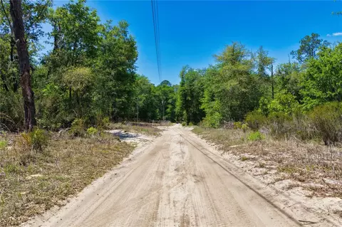 2 NE 125th St, Bronson, FL 32621 photo 7