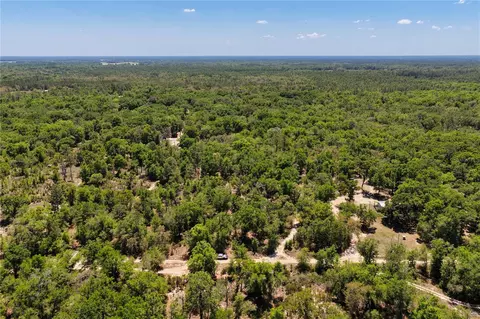 2 NE 125th St, Bronson, FL 32621 photo 13