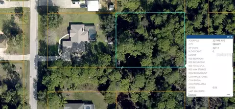32 Fyfe Ave, Debary, FL 32713 photo 6